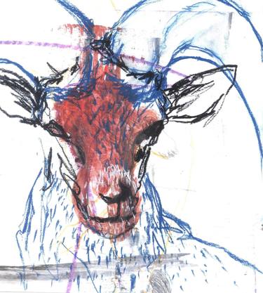 Original Expressionism Animal Drawings by Lucia Retamar