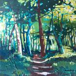 Forest path by Nicola Hardy