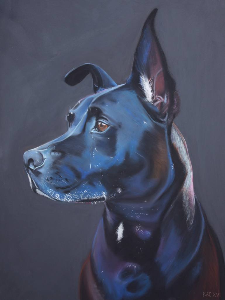 Lab Pit Mix Drawing by Kevork Cholakian | Saatchi Art