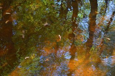 Print of Water Photography by Catherine Lottes