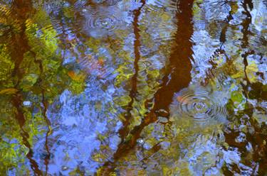 Print of Water Photography by Catherine Lottes