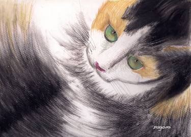 Print of Illustration Cats Drawings by pagomi inc