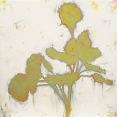 Print of Botanic Paintings by Jill Sykes