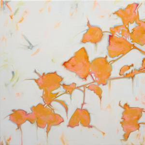 EMISSARY III - BOUGAINVILLEA