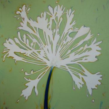 Original Fine Art Botanic Paintings by Jill Sykes