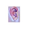 Keywords: portrait, portraiture, ear, painting, abstract, expressionism, listening