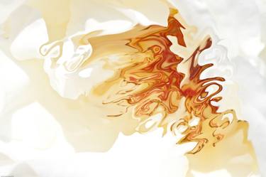 Original Abstract Expressionism Abstract Photography by Bruno Paolo Benedetti