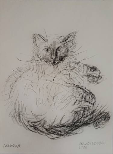 Original Expressionism Cats Drawings by Renata Szpunar