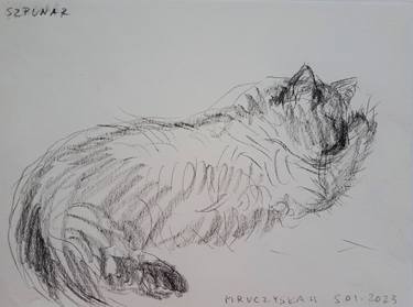 Original Expressionism Cats Drawings by Renata Szpunar