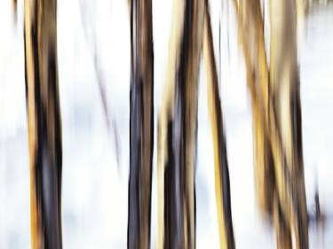 Original Fine Art Abstract Photography by Mark Griffin