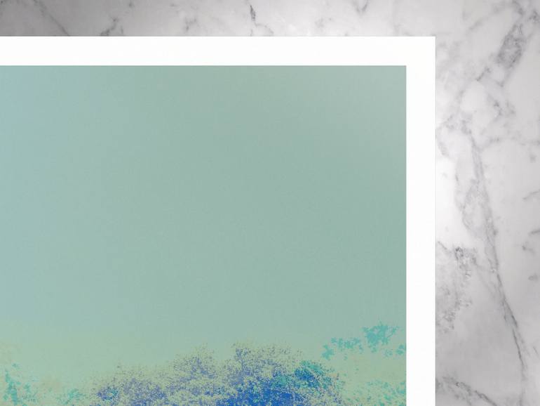 Original Contemporary Botanic Photography by Nicolas Le Beuan Benic