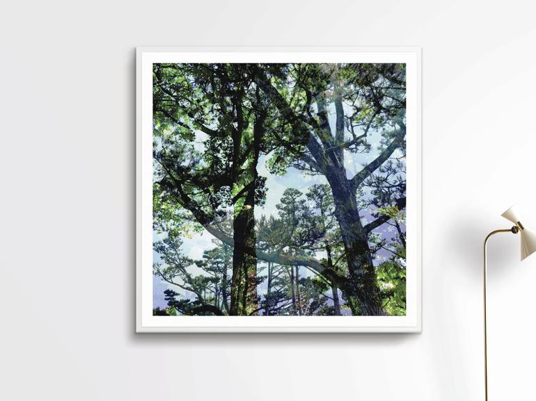 Original Minimalism Tree Photography by Nicolas LE BEUAN BENIC