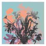 Gregoire Bouquet by Nicolas LE BEUAN BENIC