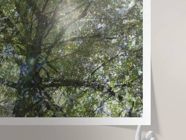 Original Abstract Tree Photography by Nicolas Le Beuan Benic