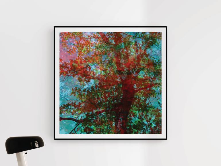 Original Abstract Landscape Photography by Nicolas Le Beuan Benic