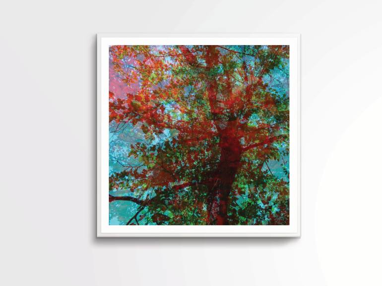 Original Abstract Landscape Photography by Nicolas Le Beuan Benic