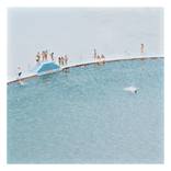 Collection Curator Picks: Audrey