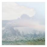Foret diaphane - Limited Edition of 25 Photograph by Nicolas LE BEUAN BENIC