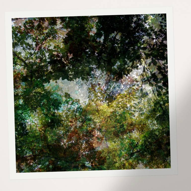 Original Other Landscape Photography by Nicolas Le Beuan Benic