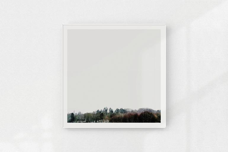 Original Fine Art Tree Photography by Nicolas LE BEUAN BENIC