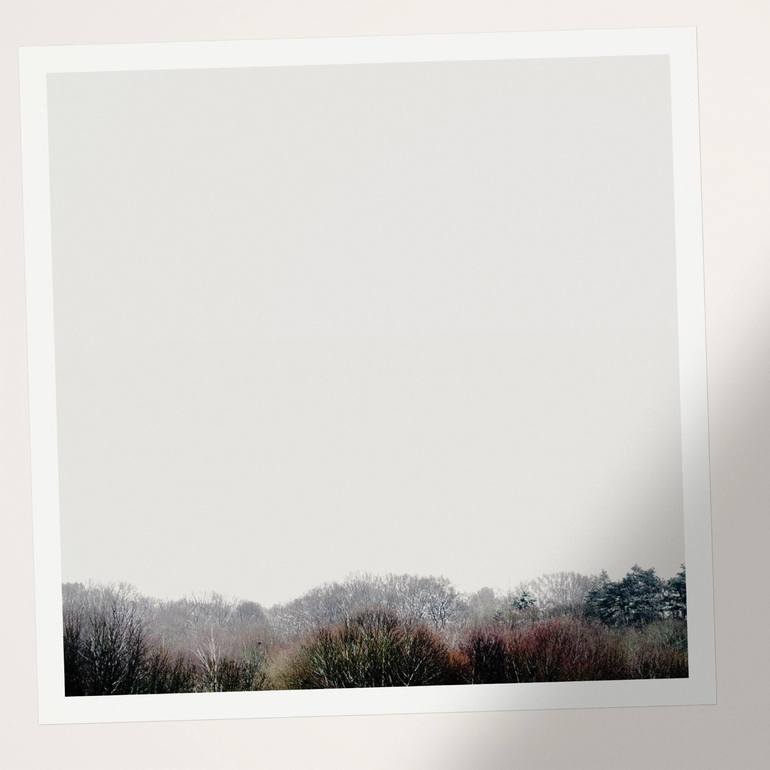 Original Fine Art Tree Photography by Nicolas LE BEUAN BENIC