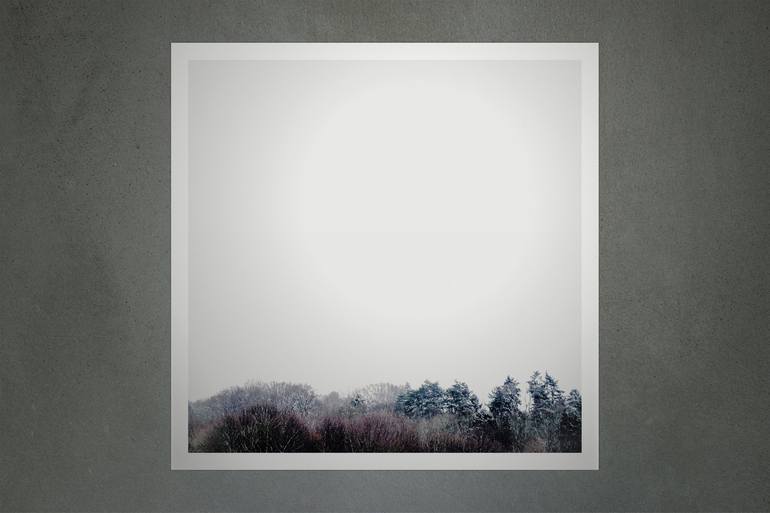 Original Fine Art Tree Photography by Nicolas LE BEUAN BENIC