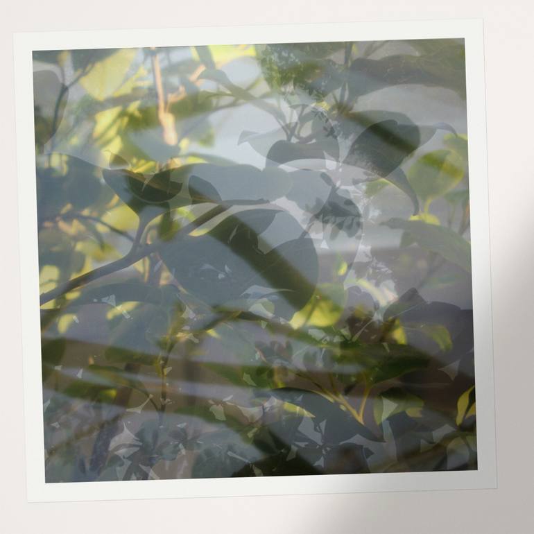 Original Modernism Nature Photography by Nicolas Le Beuan Benic
