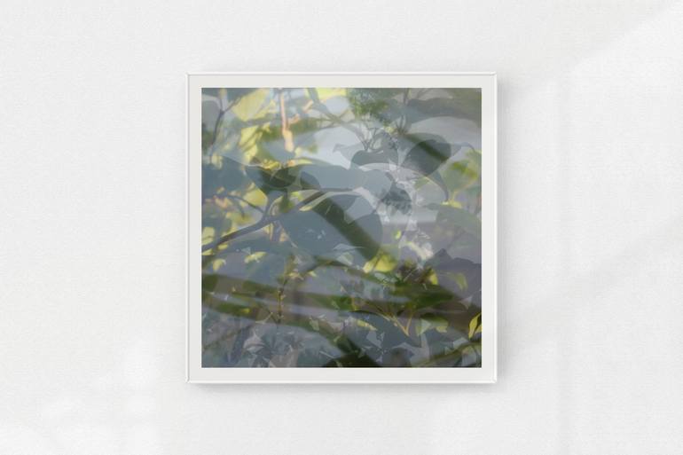 Original Modernism Nature Photography by Nicolas Le Beuan Benic