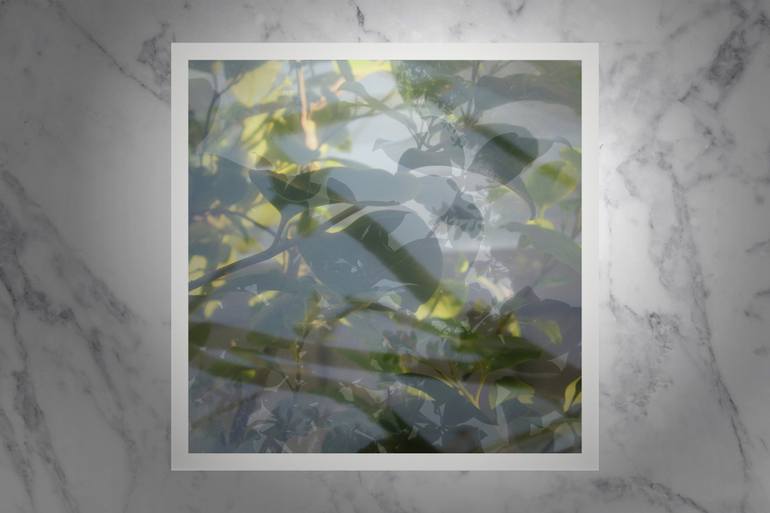Original Modernism Nature Photography by Nicolas Le Beuan Benic
