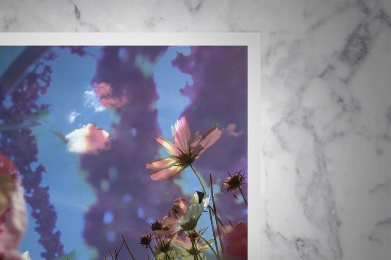 Original Abstract Expressionism Floral Photography by Nicolas Le Beuan Benic