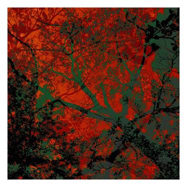 Print of Abstract Expressionism Tree Photography by Nicolas LE BEUAN BENIC