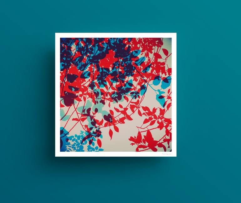 Original Abstract Floral Photography by Nicolas LE BEUAN BENIC