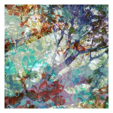 Print of Abstract Tree Photography by Nicolas LE BEUAN BENIC