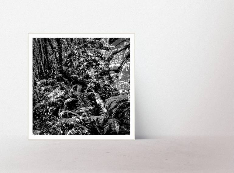 Original Modernism Landscape Photography by Nicolas Le Beuan Benic