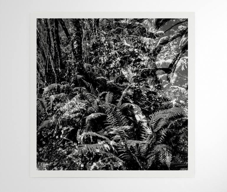 Original Modernism Landscape Photography by Nicolas Le Beuan Benic