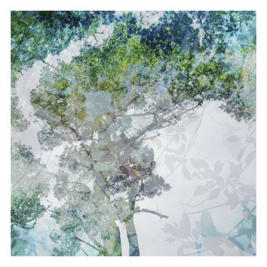 Original Abstract Expressionism Garden Photography by Nicolas LE BEUAN BENIC