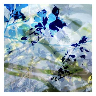 Print of Abstract Expressionism Botanic Photography by Nicolas LE BEUAN BENIC