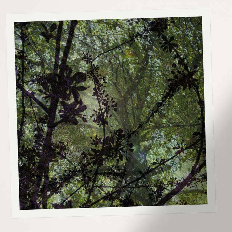 Original Modernism Botanic Photography by Nicolas Le Beuan Benic