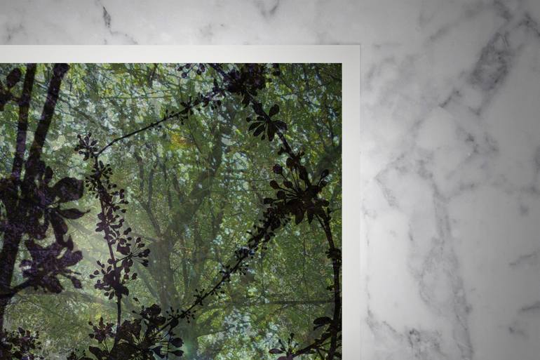 Original Modernism Botanic Photography by Nicolas Le Beuan Benic