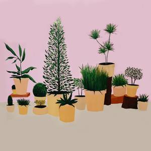 Plant Pots on Moulton Ave