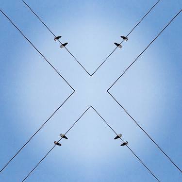 The Birds on the Wire, 2 thumb