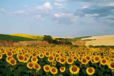The Sunflower Field thumb