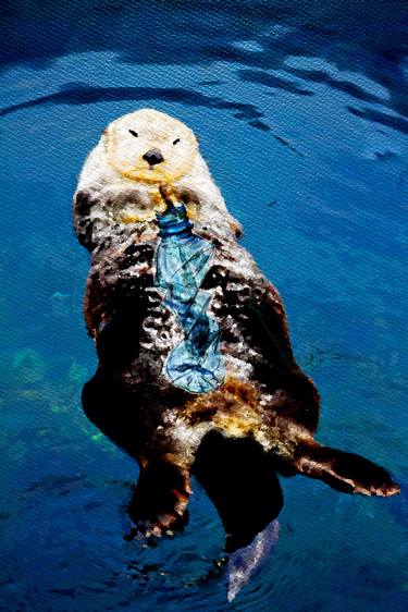 The Playful Sea Otter and Plastic Bottle... thumb