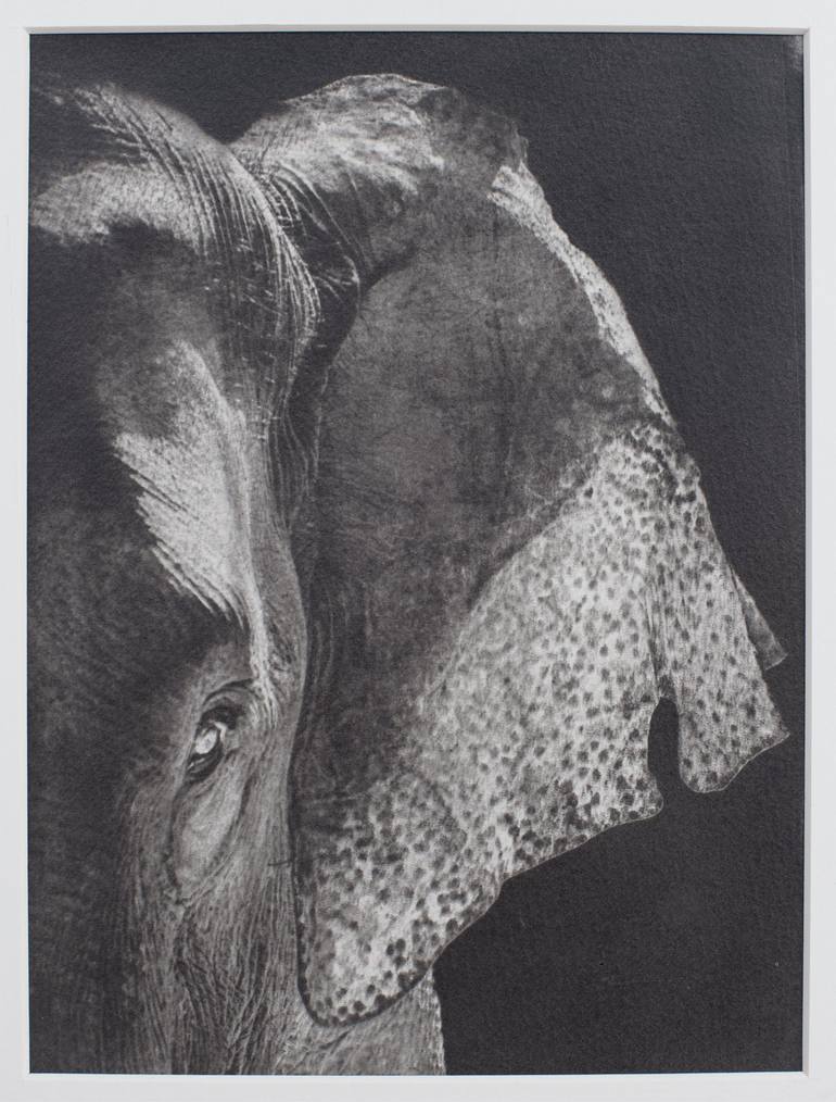 Original Nature Printmaking by Rajkumar Krishna  Other Art on Other  Untitled