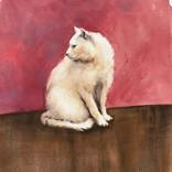 White cat by Krystyna Szczepanowski