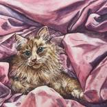 Cocooned by Krystyna Szczepanowski