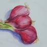 A bunch of red onions straight from the market still with the leaves.
I was attracted by the lovely colour and texture of these onions.
This painting would go well in a kitchen or a small restaurant.