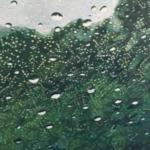 Collection Rainy Windshields