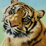 Feeling Wistful by Michael McGovern