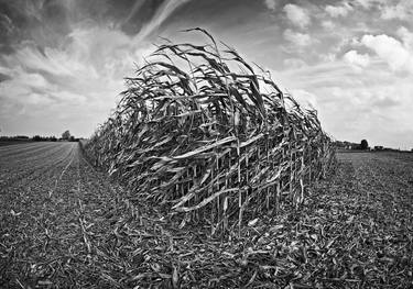 The harvest thumb